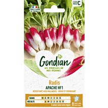Radis Apache HF1 - GONDIAN