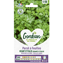 Persil à feuilles Gigante d'Italia (Géant d'Italie) - GONDIAN