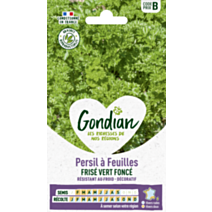 Persil à feuilles Frisé Vert Foncé - GONDIAN