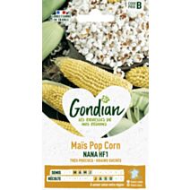Oignon Pop Corn Nana HF1 - GONDIAN