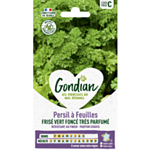 Persil à feuilles Frisé Vert Foncé race Robust - GONDIAN