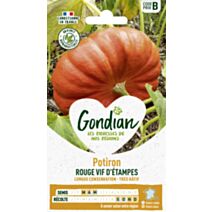 Potiron Rouge Vif d'Etampes - GONDIAN