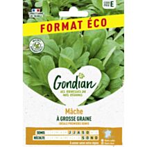 Mâche à Grosse Graine - GONDIAN
