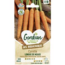 Carotte Longue de Meaux - GONDIAN