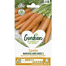 Carotte Nantaise Améliorée 3 - GONDIAN