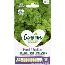 Persil à feuilles Frisé Vert Foncé race Calito - GONDIAN