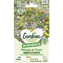 Mélange de fleurs Fleurs Annuelles Naines - GONDIAN