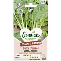Poirée / Bette Verte à Couper - GONDIAN