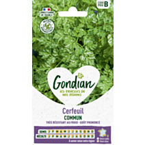 Cerfeuil Commun - GONDIAN