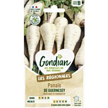 Panais de Guernesey - GONDIAN