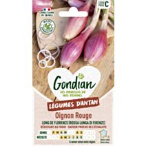 Oignon Rossa di Firenze (Rouge Long de Florence) - GONDIAN