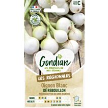 Oignon de Rebouillon - GONDIAN