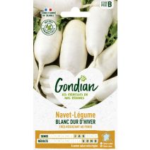 Navet-Légume Blanc Dur d'Hiver - GONDIAN