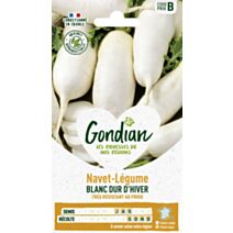 Navet-Légume Blanc Dur d'Hiver - GONDIAN