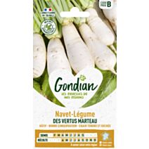 Navet-Légume des Vertus Marteau - GONDIAN