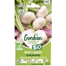 Navet-Légume de Milan Rouge Extra-Hâtif à Châssis Bio - GONDIAN