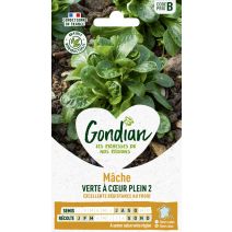 Mâche Verte à Cœur Plein 3 - GONDIAN