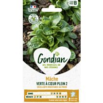 Mâche Verte à Cœur Plein 3 - GONDIAN
