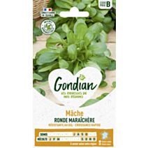 Mâche Ronde Maraîchère - GONDIAN