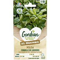 Mâche Coquille de Louviers - GONDIAN