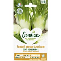Fenouil groupe azoricum Doux de Florence - GONDIAN