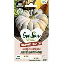 Courge Musquée Muscade (d'Hiver de Provence) - GONDIAN