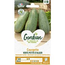 Courgette Verte Petite d'Alger - GONDIAN