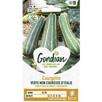 Courgette Verte Non Coureuse d'Italie - GONDIAN