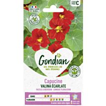 Capucine Valina Écarlate - GONDIAN