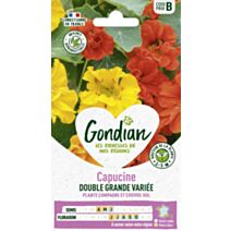 Capucine Grande Variée - GONDIAN