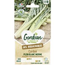 Cardon Plein Blanc Inerme - GONDIAN