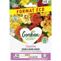 Capucine Naine Double Variée - GONDIAN