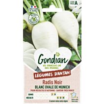 Radis Ovale Blanc de Münich - GONDIAN