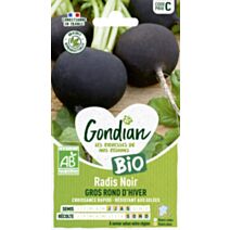 Radis Noir Noir Gros Rond d'Hiver Bio - GONDIAN