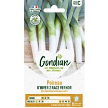 Poireau Géant d'Hiver 2 race Vernor - GONDIAN
