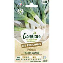 Poireau Bleu de Solaise - GONDIAN