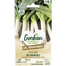 Poireau de Carentan 2 - GONDIAN