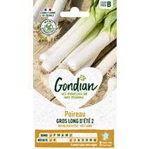 Poireau Gros Long d'Eté 2 - GONDIAN