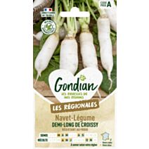 Navet-Légume Demi-Long de Croissy - GONDIAN