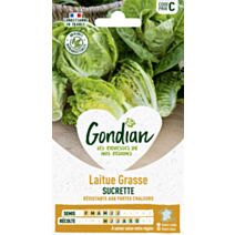 Laitue Sucrine - GONDIAN