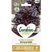 Laitue Salad Bowl Rouge - GONDIAN