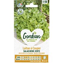 Laitue Salad Bowl Verte - GONDIAN