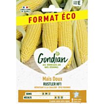 Maïs Rustler HF1 - GONDIAN