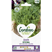Aneth Officinal - GONDIAN