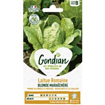 Laitue Blonde Maraîchère - GONDIAN