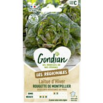 Laitue Rougette de Montpellier - GONDIAN