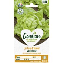 Laitue Val d'Orge - GONDIAN