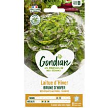 Laitue Brune d'Hiver - GONDIAN