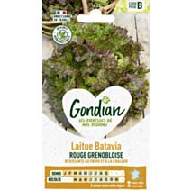 Laitue Rouge Grenobloise - GONDIAN