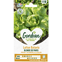 Laitue Blonde de Paris - GONDIAN